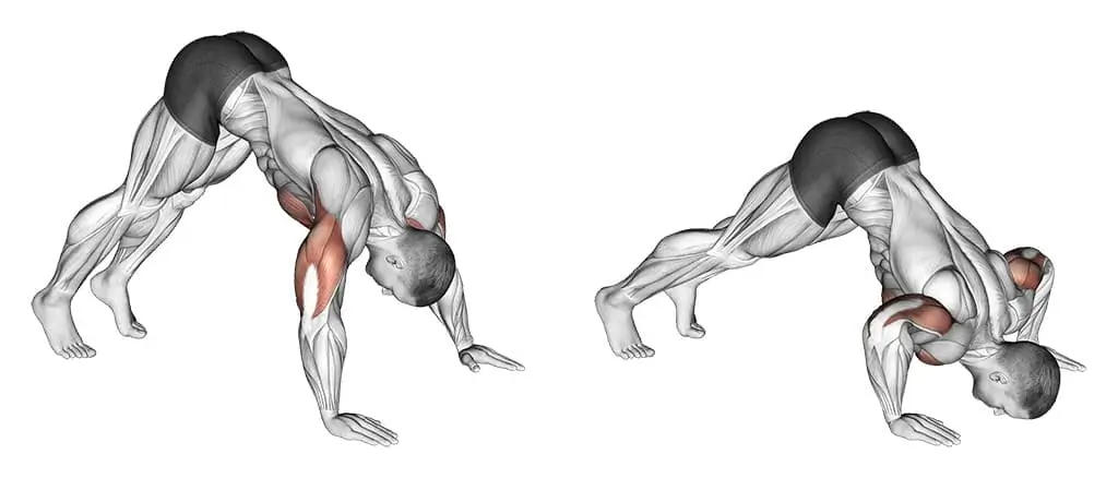 full body gymnastics workout
