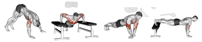full body gymnastics workout