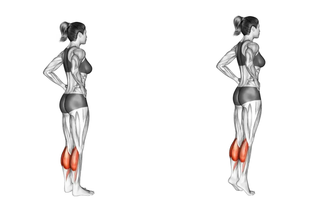 calisthenics leg workout