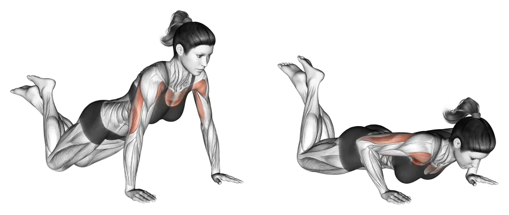28 day calisthenics workout