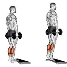 full body gymnastics workout