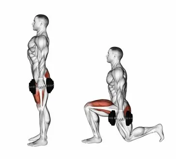 calisthenics leg workouts
