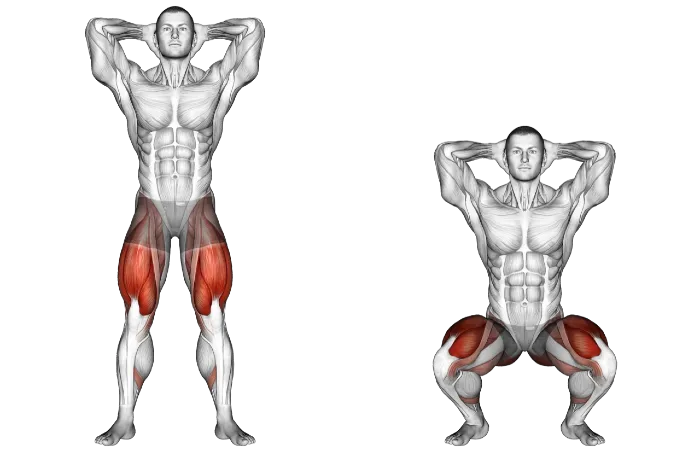 28 day calisthenics workout