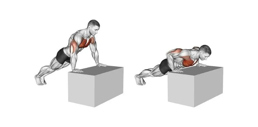 28 day calisthenics workout