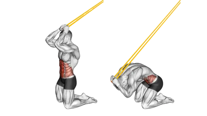abs workout tools