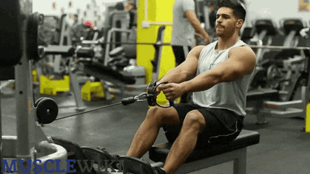Back Workout Plan