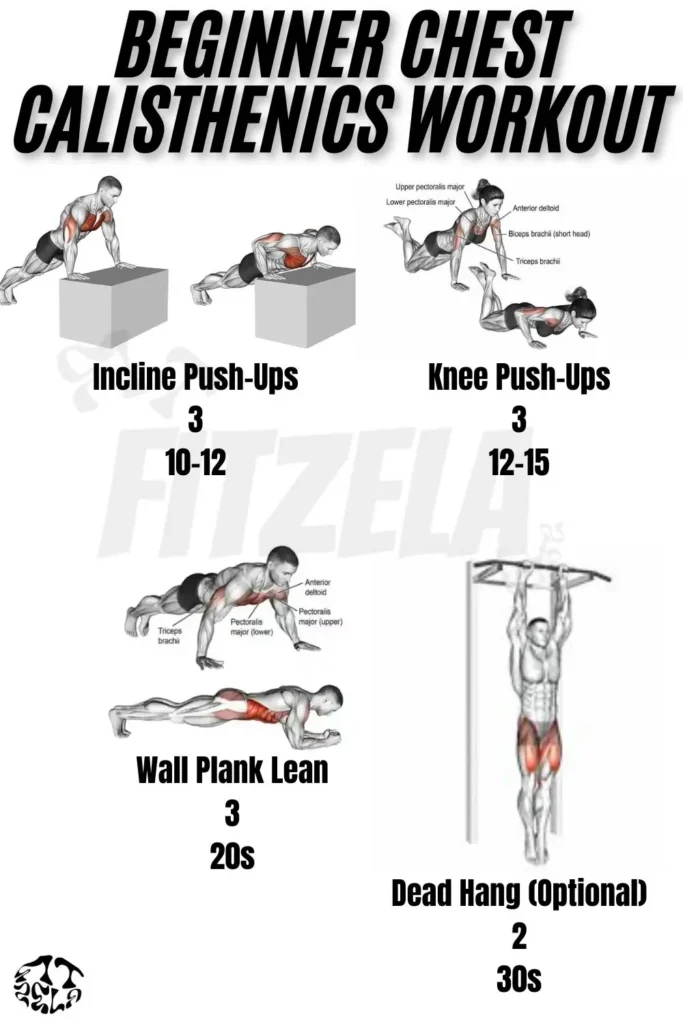 calisthenics chest workout