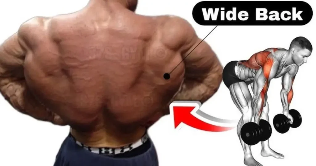 Back Workout Routine