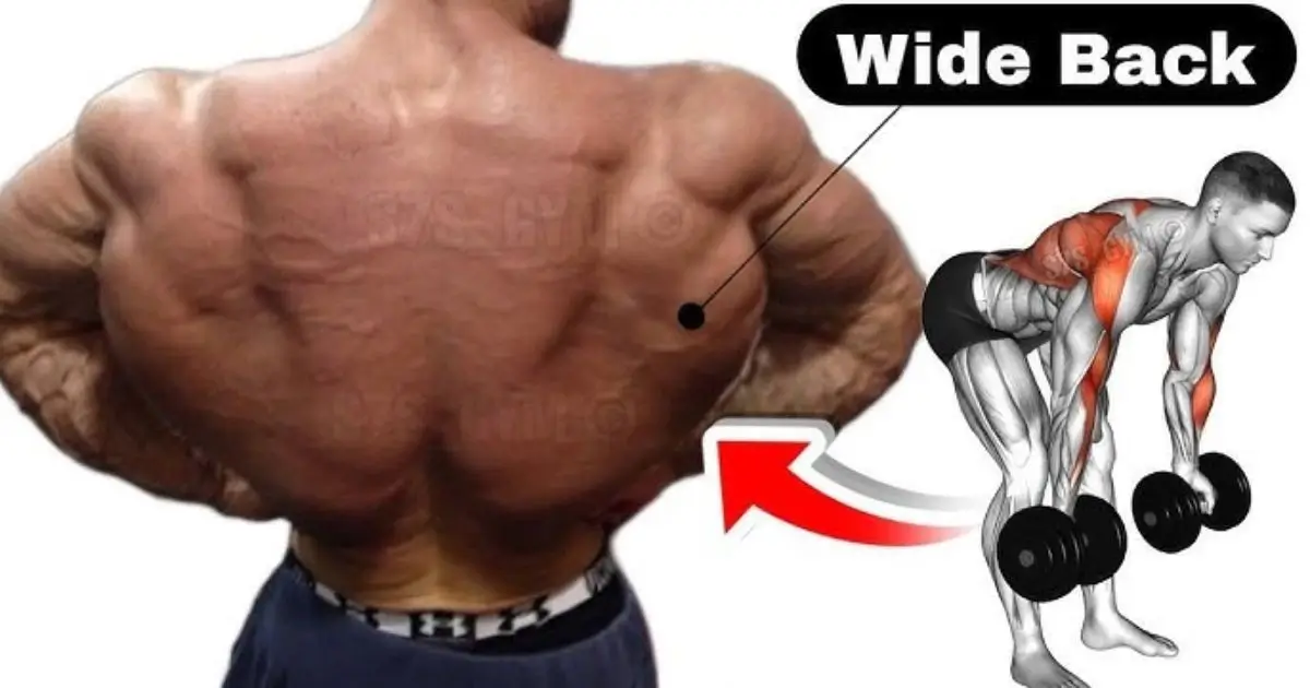 Back Workout Routine