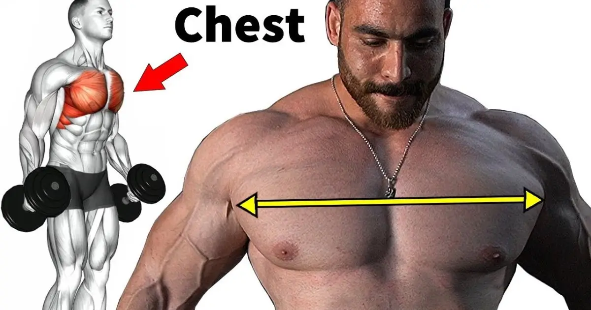 "An image showing a man performing exercises with an exercise roller wheel set, highlighting its versatility for various workouts."