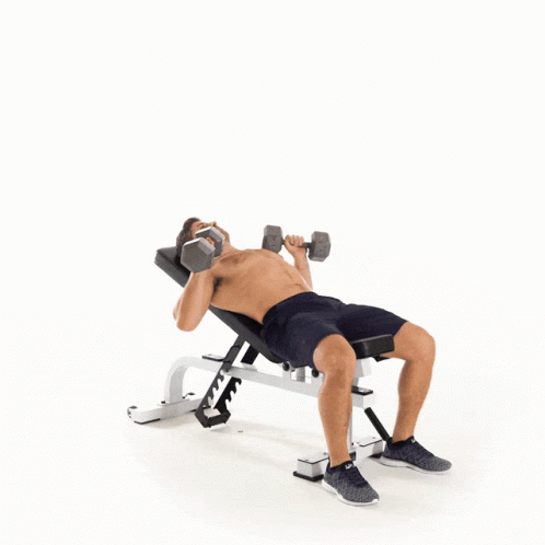 Chest Workout