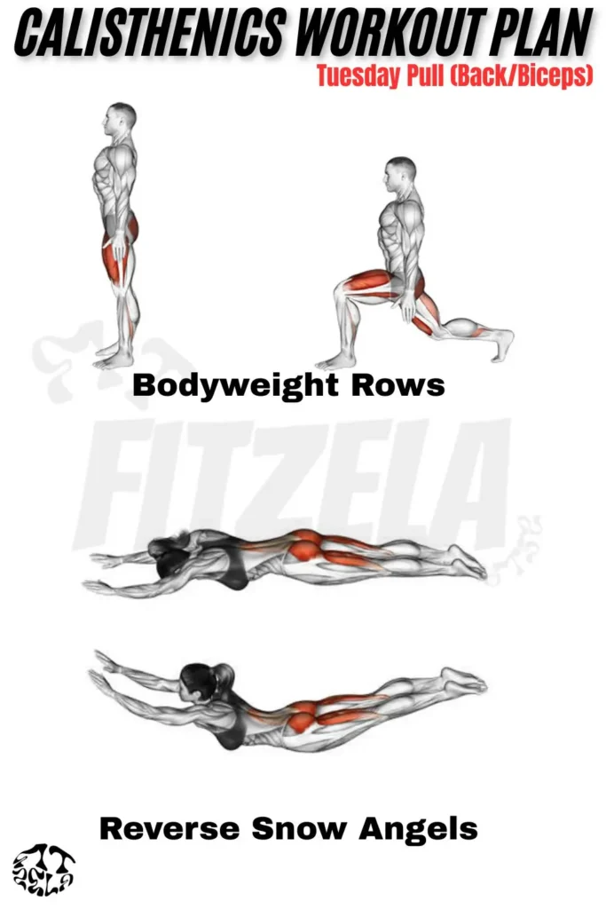 calisthenics workout plan pdf