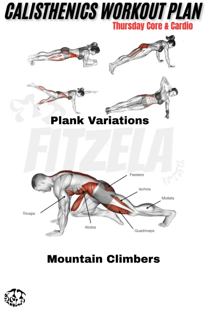 calisthenics workout plan pdf
