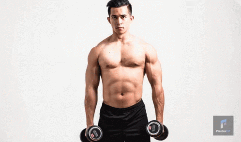 Shoulder Workout