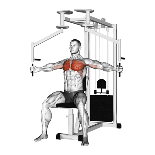 Chest Workout