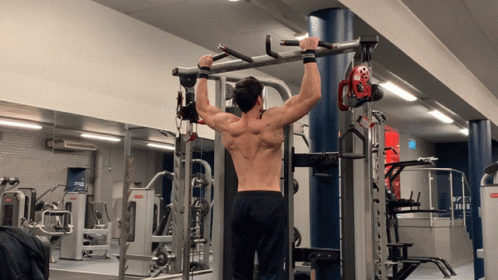 Back Workout Plan