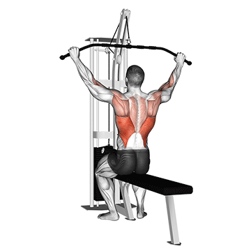 Back Workout Plan