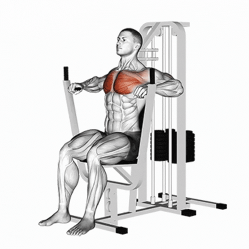 Chest Workout