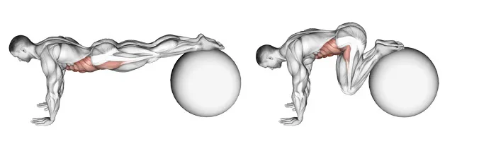abs workout tools