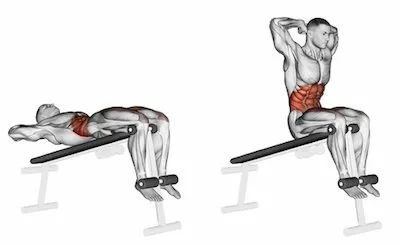 bench ab workout