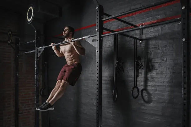 calisthenics workout plan pdf