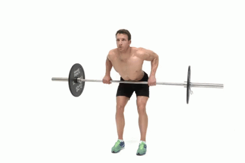 Back Workout Plan